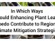 In Which Ways Could Enhancing Plant Leaf Albedo Contribute to Regional Climate Mitigation Strategies