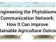 Engineering the Phytobiome Communication Network: How It Can Improve Sustainable Agriculture Outcomes