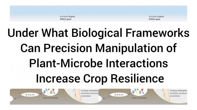 Under What Biological Frameworks Can Precision Manipulation of Plant-Microbe Interactions Increase Crop Resilience