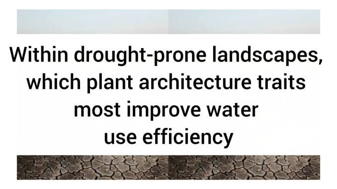 Within Drought-Prone Landscapes, Which Plant Architecture Traits Most Improve Water Use Efficiency