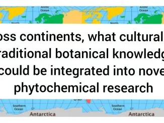 Across Continents: What Cultural and Traditional Botanical Knowledge Could Be Integrated into Novel Phytochemical Research