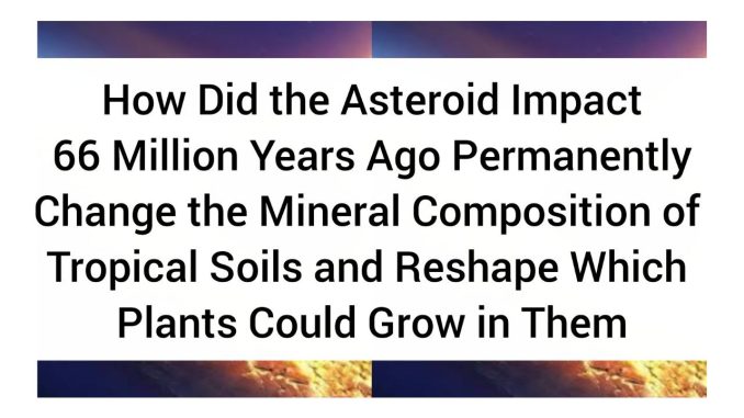 How Did the Asteroid Impact 66 Million Years Ago Permanently Change the Mineral Composition of Tropical Soils and Reshape Which Plants Could Grow in Them How Did the Asteroid Impact 66 Million Years Ago Permanently Change the Mineral Composition of Tropical Soils and Reshape Which Plants Could Grow in Them