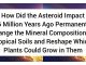 How Did the Asteroid Impact 66 Million Years Ago Permanently Change the Mineral Composition of Tropical Soils and Reshape Which Plants Could Grow in Them