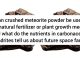 Can Crushed Meteorite Powder Be Used as a Natural Fertilizer or Plant Growth Medium, and What Do the Nutrients in Carbonaceous Chondrites Tell Us About Future Space Farming