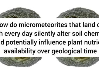 How do micrometeorites that land on Earth every day silently alter soil chemistry and potentially influence plant nutrient availability over geological time